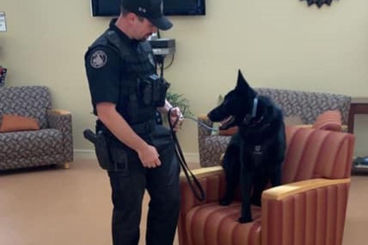 Ice Cream with a Cop 2019