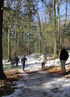 Assorted people hiking on a path