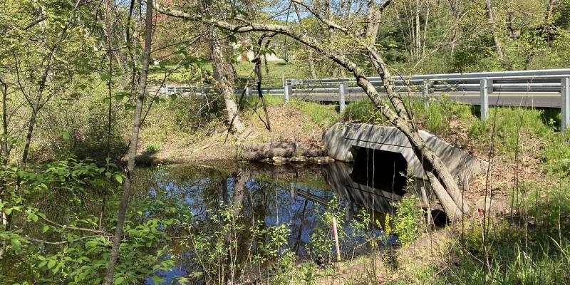Culvert below Pinnacle Street, which Meadow Brook passes through.
