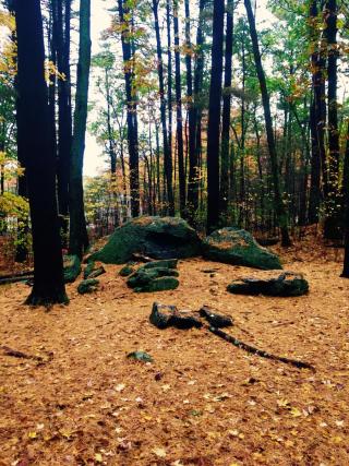 Rogers Park Black Rock