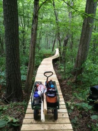 Boardwalk Hike Trail