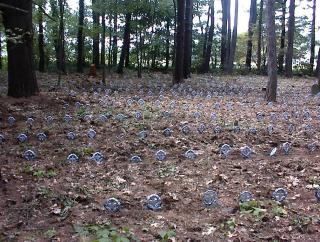 The Pines Cemetary Trail