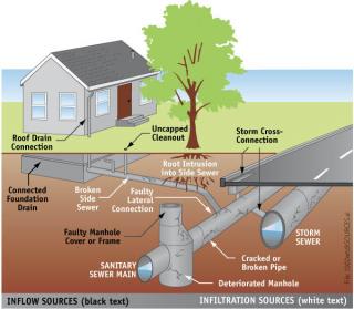 Graphic of water infiltrating sewer systems, including cracks in pipes, uncapped pipe openings, tree